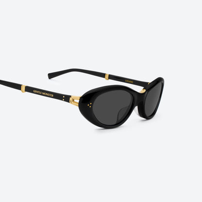 Elaris Foldable Round Sunglasses