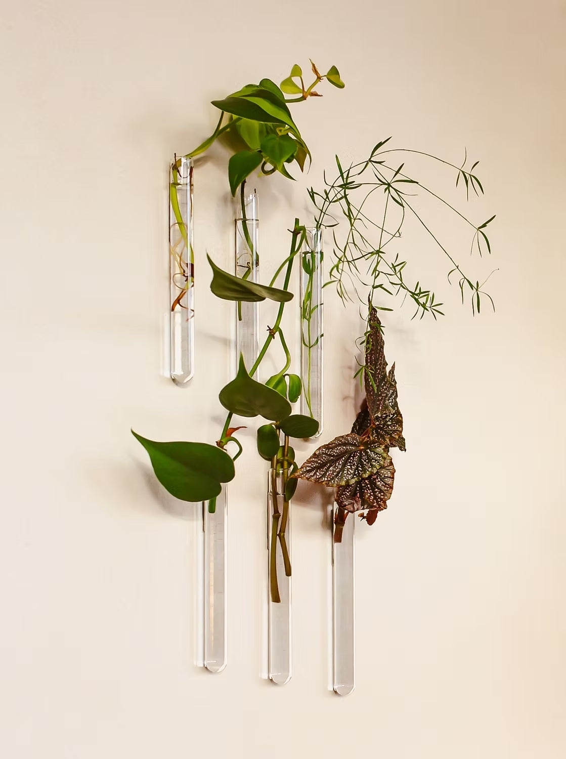 Magnetic Wall Mounted vase tube
