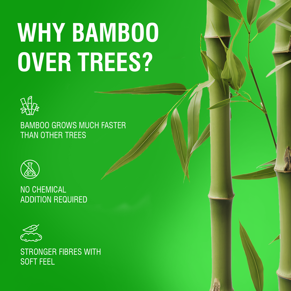 Reusable Bamboo Kitchen Towel - 20 Sheets
